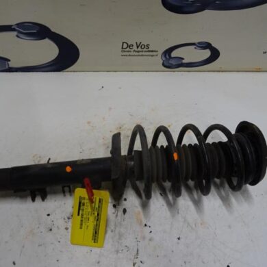 Peugeot 1007  Front shock absorber rod, right 2006 5202PX-1638077380