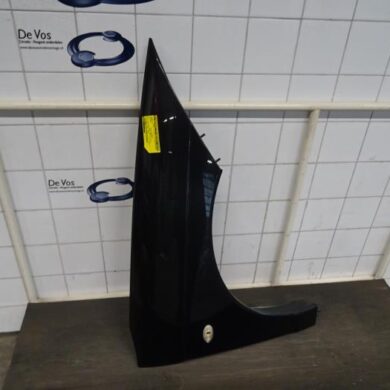 Citroen C6  Scherm rechts-voor 2007 7841S0