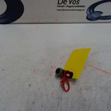 Peugeot 208  PDC Sensor 2019 1608321780
