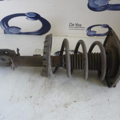 Citroen Jumpy  Front shock absorber rod, left 2010 5202WW-5208Q4