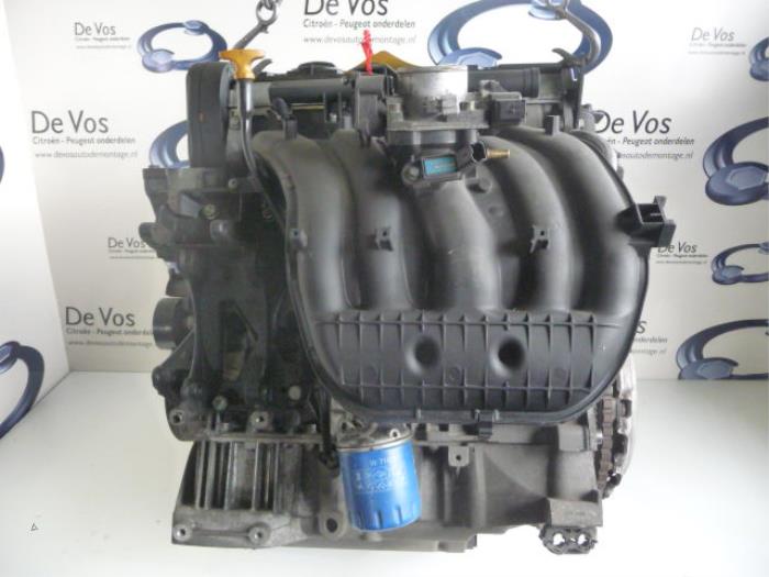 Peugeot 206 2.0 16V Motor RFN 2001 0135AJ-0139NR | De Vos Onderdelen