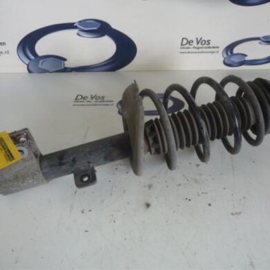 Citroen Berlingo  Front shock absorber rod, left 2013 5208X5-520881