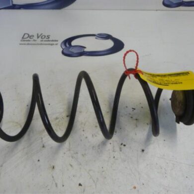 Citroen C4 Picasso  Schroefveer achter 2014 9805385280