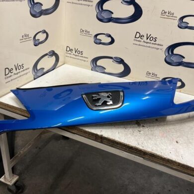 Peugeot 1007 1.4 Grille 2005 7804R7