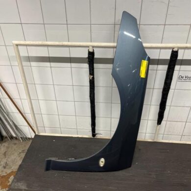 Peugeot 407 1.8 16V Front wing, left 2006 7840P0