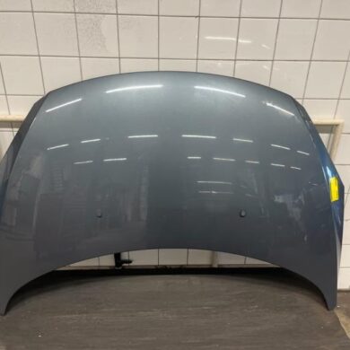 Peugeot 307 1.6 16V Bonnet 2006 7901L9