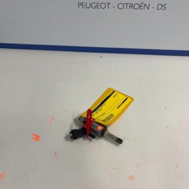 Peugeot 3008  Injector (petrol injection) 5G06 2019 9818760580