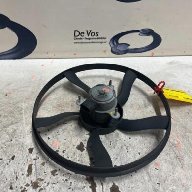 Peugeot 206 1.4 XR,XS,XT,Gentry Fan motor 2006 125383