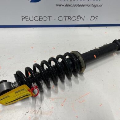 Citroen C5 Aircross  Rear shock absorber rod, left 2019 9840521980