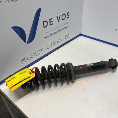 Citroen C5 Aircross  Rear shock absorber rod, right 2019 9840521980-9833916180