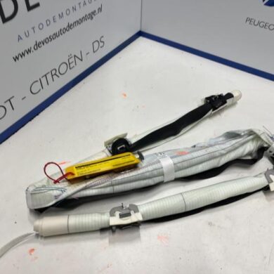 Citroen C4 Cactus 1.2 PureTech 110 12V Hemel Airbag 2018 9804358780