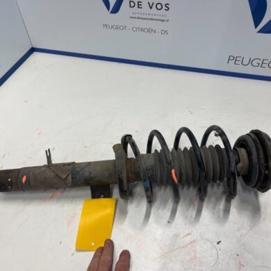 Citroen C2 1.4 Front shock absorber rod, right 2004 5202SN