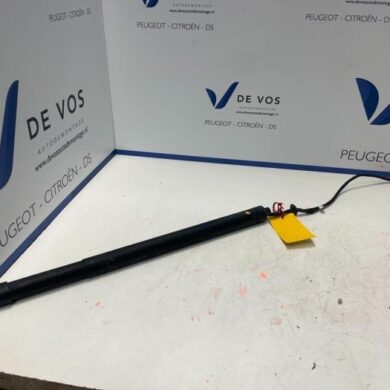 Peugeot 508  Gasdemper rechts-achter 2019 983557580