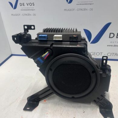 Peugeot 508  Subwoofer 2019 9813419780