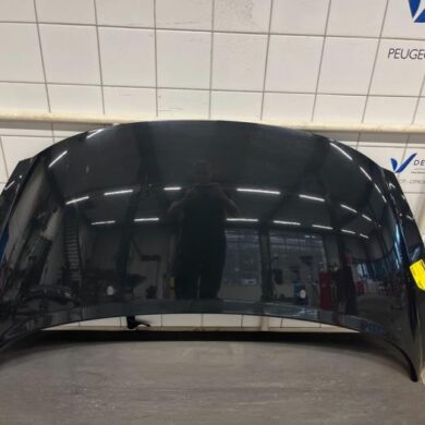 Peugeot 207 1.6 16V Bonnet 2013 7901N2