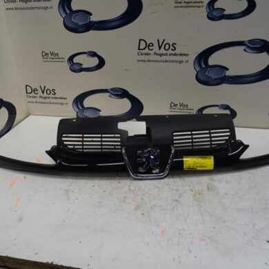 Peugeot 206 2.0 16V Grille 2001 7804H4
