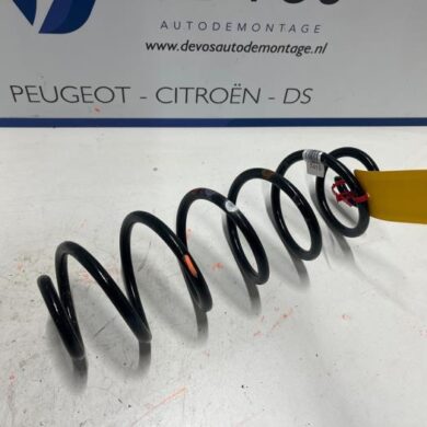 Peugeot 408  Rear coil spring 2022 9848741580
