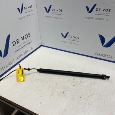 DS Automobiles DS7 Crossback 1.6 16V PureTech 225 Rear gas strut, left 2019 9817057180-9835674780