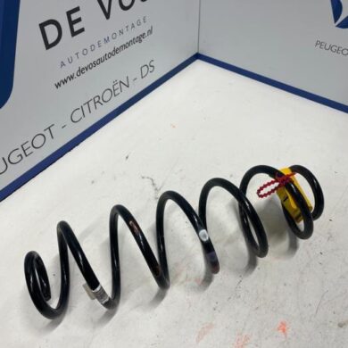 Peugeot 408  Rear coil spring 2022 9848741580