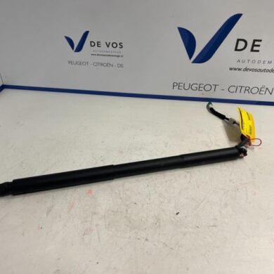 Peugeot 408 1.2 Hybrid 136 Rear gas strut, left 2022 3841612980