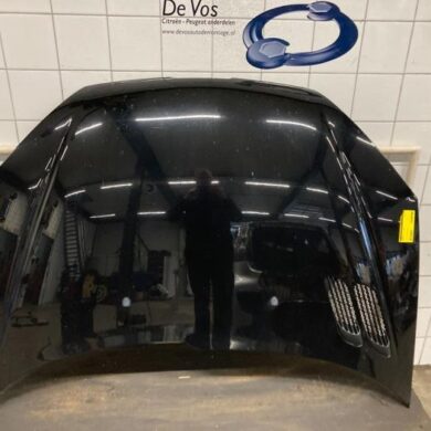 Peugeot 206 1.6 16V Bonnet 2003 7901K1