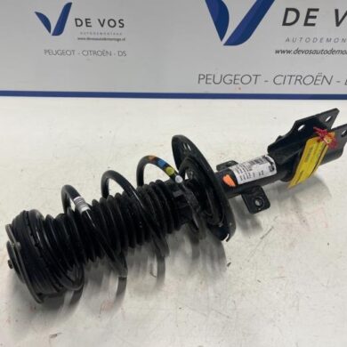 Peugeot 408  Front shock absorber rod, left 2022 9843888980-9854047280