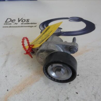 Citroen C4 Picasso  Spanrol Multiriem BHZ-BHZBH01 2016 1613255380