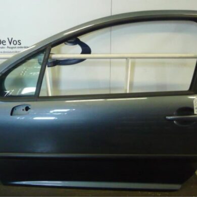Peugeot 207 1.4 16V Tür 2-türig links 2007 9002AN
