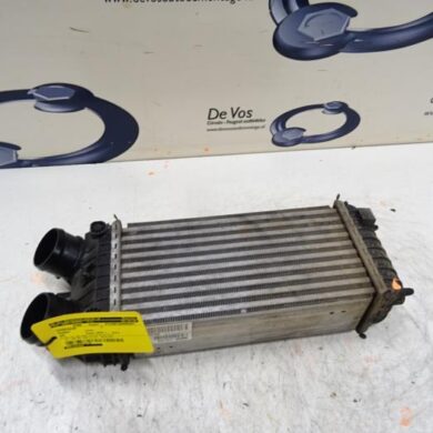 Peugeot 208  Intercooler 5FV5F02 2015 9803145480