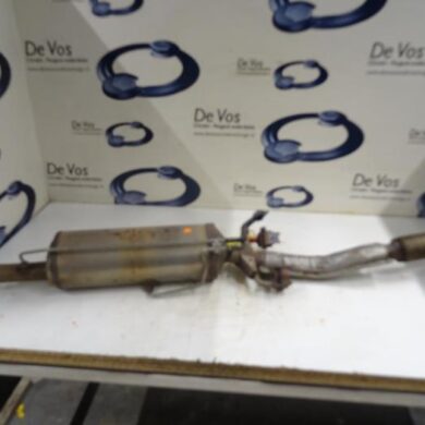 Peugeot 208  Roetfilter BHW-BHWBH02 2015 1611769080-1611769180