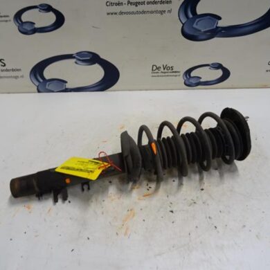 Peugeot 1007 1.4 Front shock absorber rod, right 2006 5202RV-1623338480