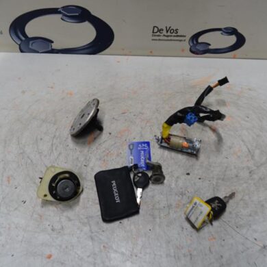 Peugeot 206 1.6 16V Set of cylinder locks (complete) 2004 4162NR-4162FA