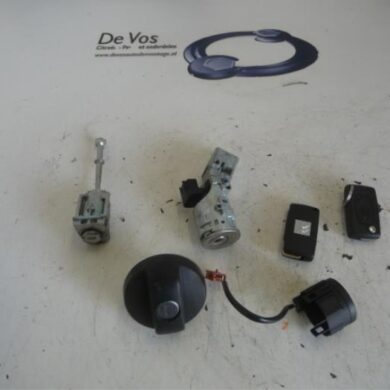 Citroen C3 Picasso  Slotenset Cilinder (compleet) 2014 4162SV