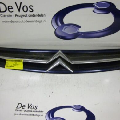 Citroen Picasso  Grille 2001 7804J7