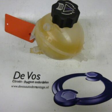 Peugeot 3008 2.0 HDiF 16V Expansievat 2009 1323X6