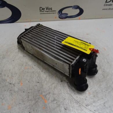 Citroen Berlingo 1.6 BlueHDI 75 Ladeluftkühler BH02-BHWBH02 2017 9800291280