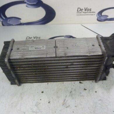 Peugeot Partner 1.6 HDI 75 Intercooler 9HW9H02 2008 0384G5