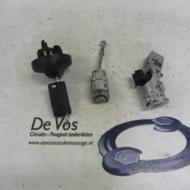 Citroen C3 Picasso 1.6 HDi 90 Slotenset Cilinder (compleet) 2011 4162SV