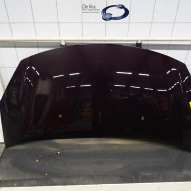 Citroen DS3  Bonnet 2014 7901R1