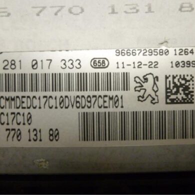 Peugeot 308 1.6 HDi Engine management computer 9HP-9HP9H06 2012 1606382680