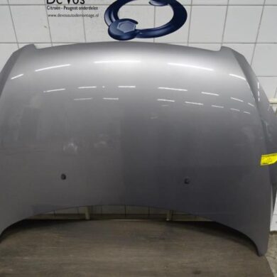 Peugeot 307 1.6 16V Bonnet 2005 7901J0
