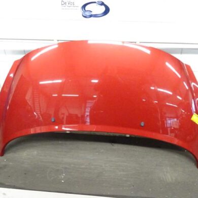 Peugeot 207  Bonnet 2007 7901N2