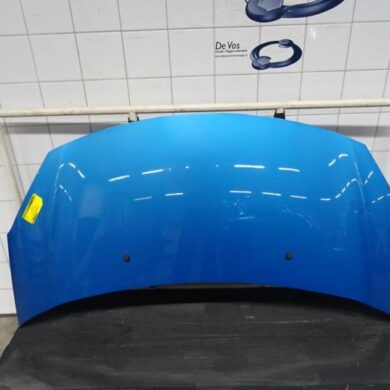 Citroen DS3  Bonnet 2012 7901R1