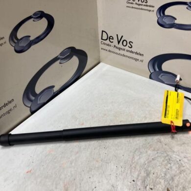 Opel Grandland X  Rear gas strut, left 2021 9828629780