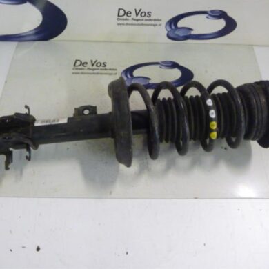 Citroen Nemo 1.3 HDi 75 Schokdemperpoot rechts-voor 2013 1609617080