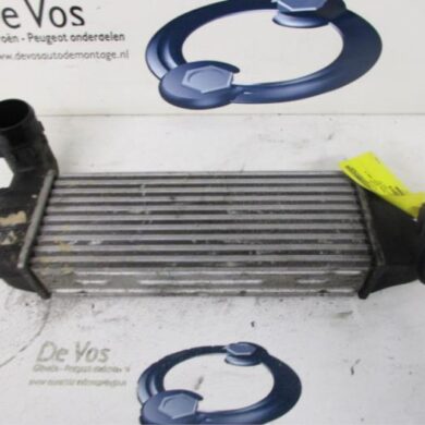 Peugeot 807 2.0 HDi 16V Intercooler RHM 2004 0384G0