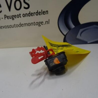 Peugeot 3008  Achteruitrij Camera 2017 9809301080