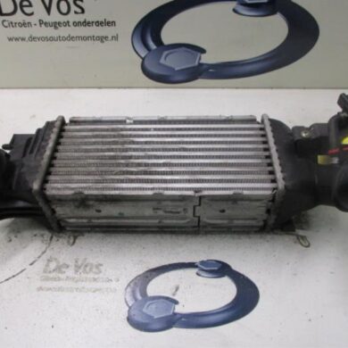 Citroen C5  Intercooler 4HX 2005 0384G9