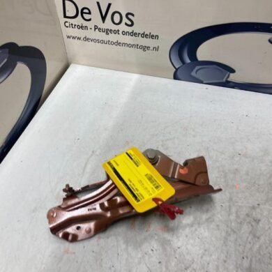 Peugeot 3008  Bonnet Hinge 2020 981418880