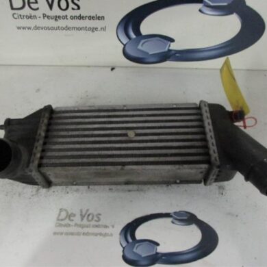 Peugeot 307 2.0 HDi 110 FAP Intercooler RHS 2004 0384F6